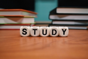 JC History Tuition Online - Study Notes and Exam Skills - H1 H2 History Tuition